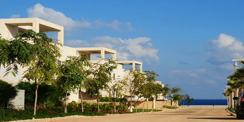 Hacienda White North Coast