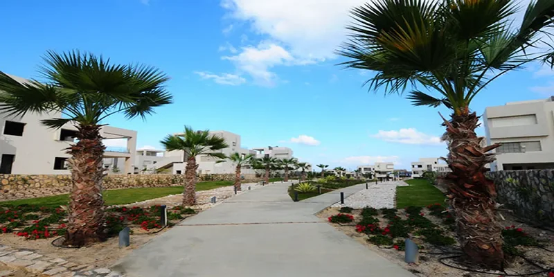 Hacienda White North Coast